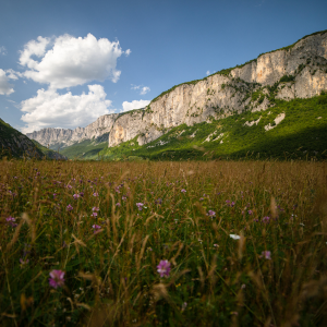 Biljni i životinjski svijet u Šavniku