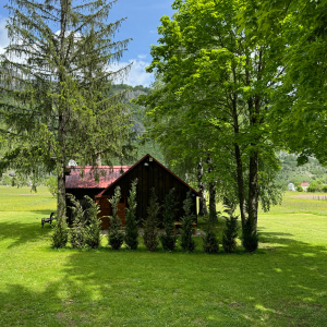 Mountain cottage Komarnica