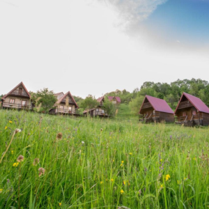 Seosko domaćinstvo „Vojnik“